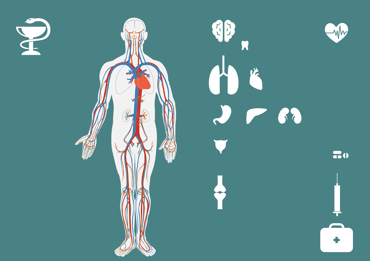 新冠肺炎最新防控方法揭秘，守护健康，共筑防线，揭秘新冠肺炎防控新策略，共建健康防线