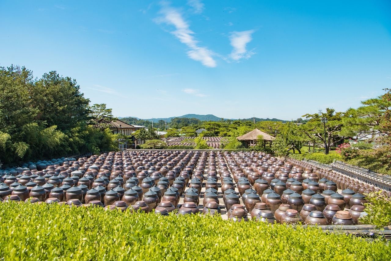 农村大力发展新能源吗，农村新能源发展势头强劲