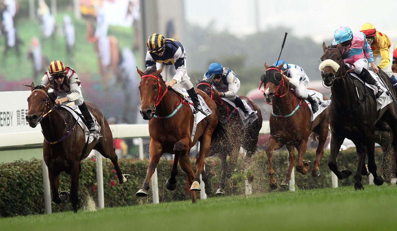 今日出马结果香港马，今日香港赛马结果揭秘