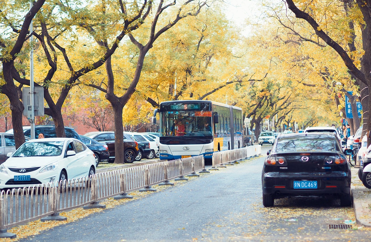 丽泊街房屋出租信息最新汇总，宜居环境，温馨家园等你来租！，丽泊街温馨宜居房屋出租，即刻开启您的理想家园之旅！