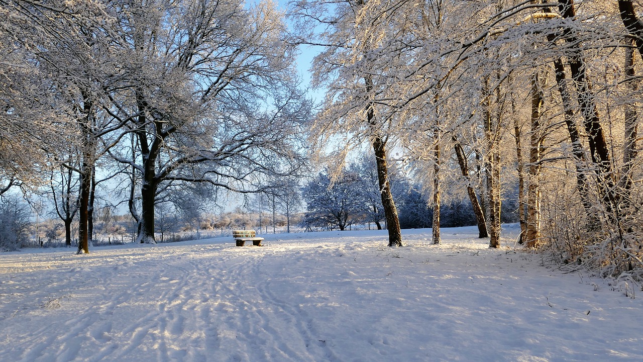 雪居之地1.2版本深度解析，全新功能解锁，体验极致的冰雪世界！，雪居之地1.2版本大揭秘，解锁冰雪世界新体验