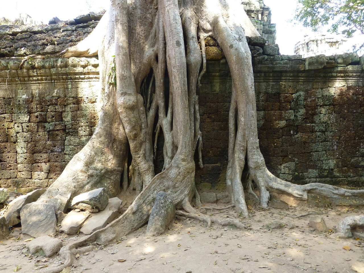 山西最新动态，经济、文化、旅游全方位发展概览，山西全面繁荣新篇章，经济、文化、旅游融合发展概览