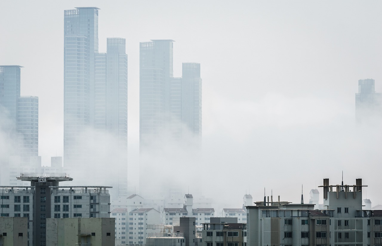 黄梅新闻最新消息，黄梅地区最新资讯报道：政治、经济、文化与社会全面发展