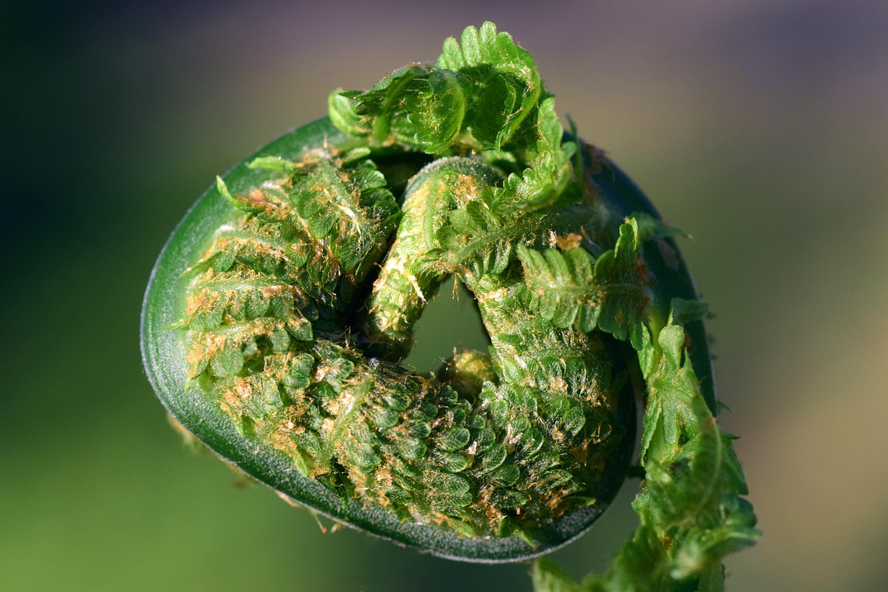 莫换晶最新消息，莫换晶最新动态与背景故事揭秘：关注他的成长与未来展望