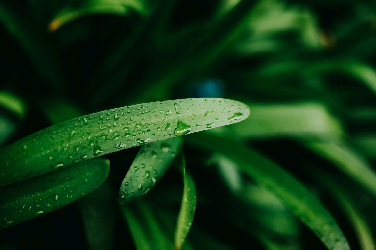 通化最新降雨信息，实时天气动态与应对措施指南，通化实时降雨预报及天气应对攻略