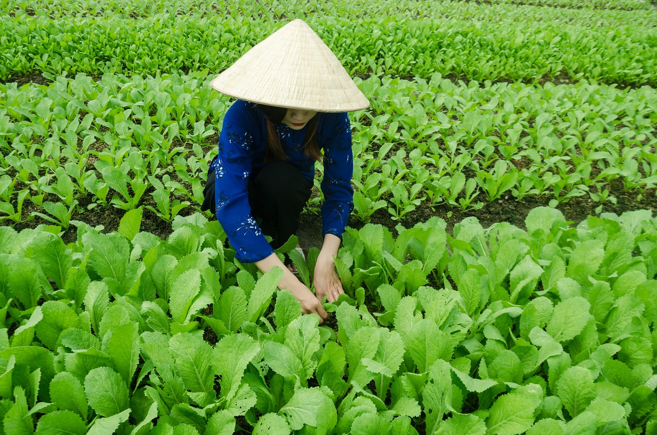 广州地铁最新消息，发展动态与未来展望，广州地铁发展动态最新消息及未来展望