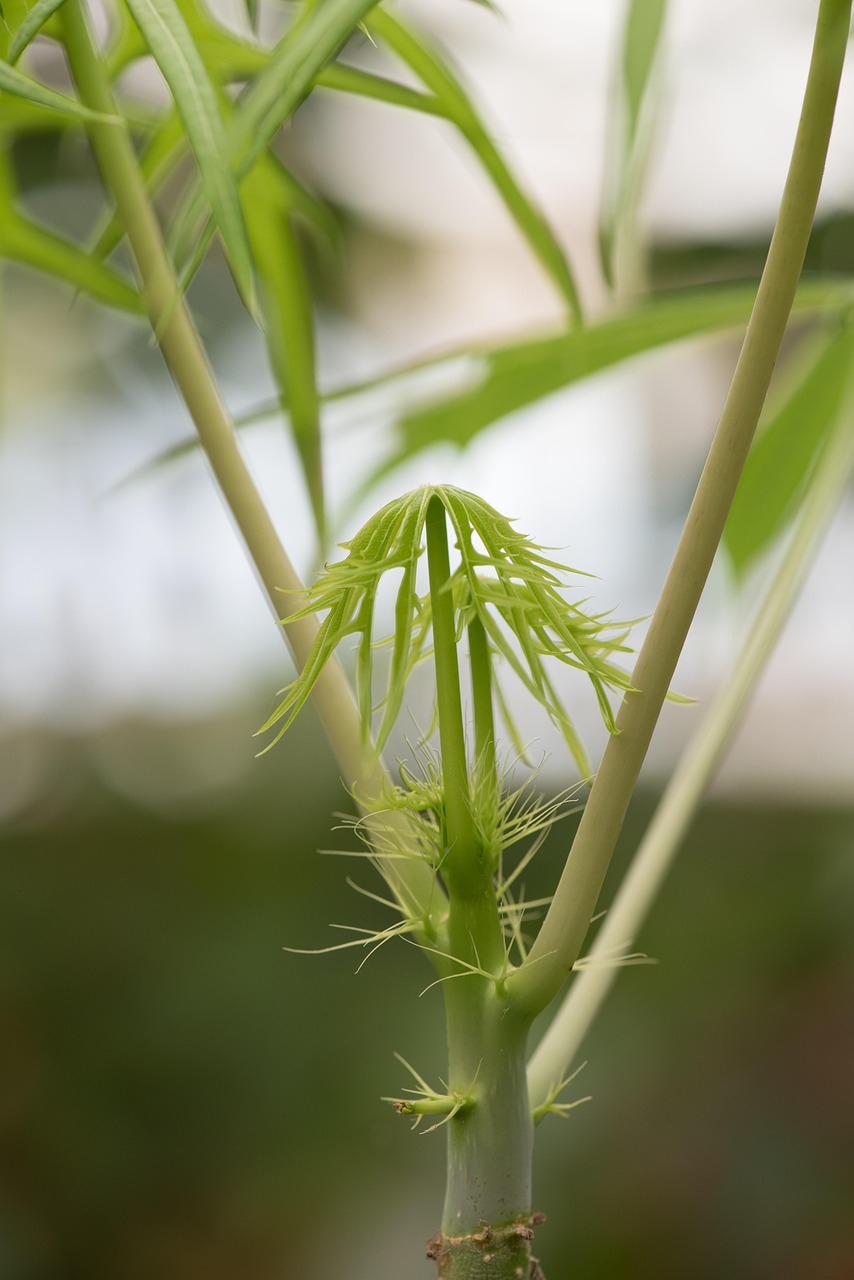 盘州矿区规划最新消息，盘州矿区规划最新动态：绿色转型与可持续发展之路