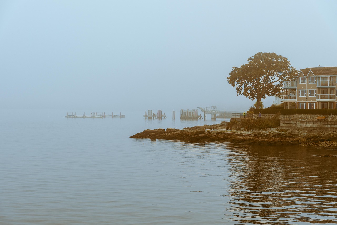 磁湖景悦价格走势分析最新，磁湖景悦楼盘价格走势深度分析