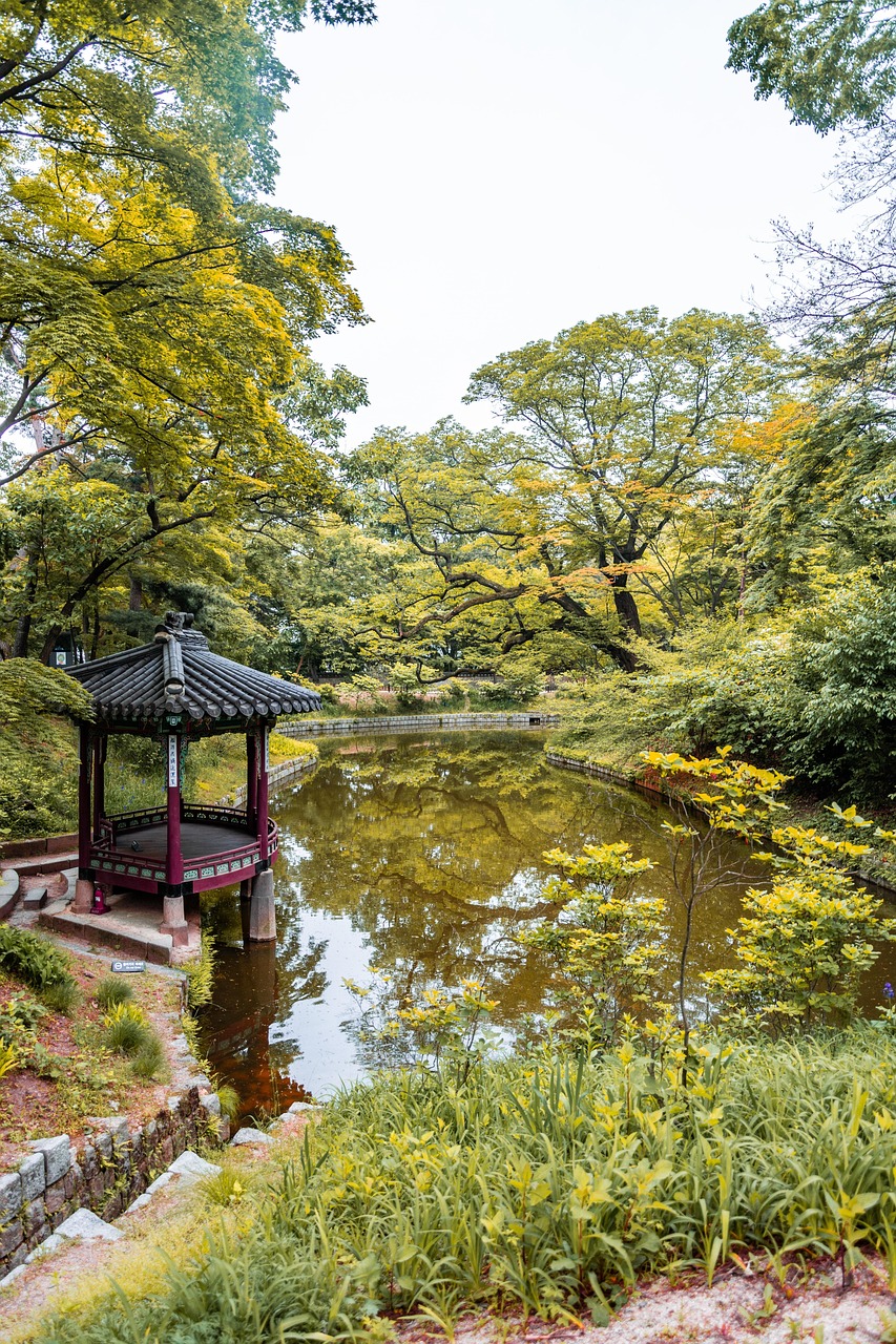 木兰围场最新动态，生态旅游新篇章，历史遗迹焕新生，木兰围场，生态旅游新潮涌动，历史遗迹重焕光彩