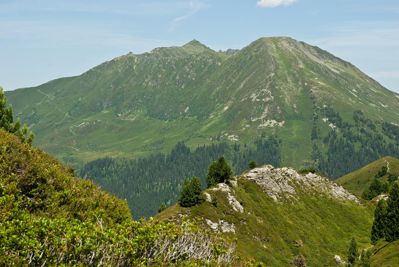 张家界加强景区环境卫生整治，精准推测与积极行动，张家界景区环境卫生整治，精准推测与积极行动同向发力