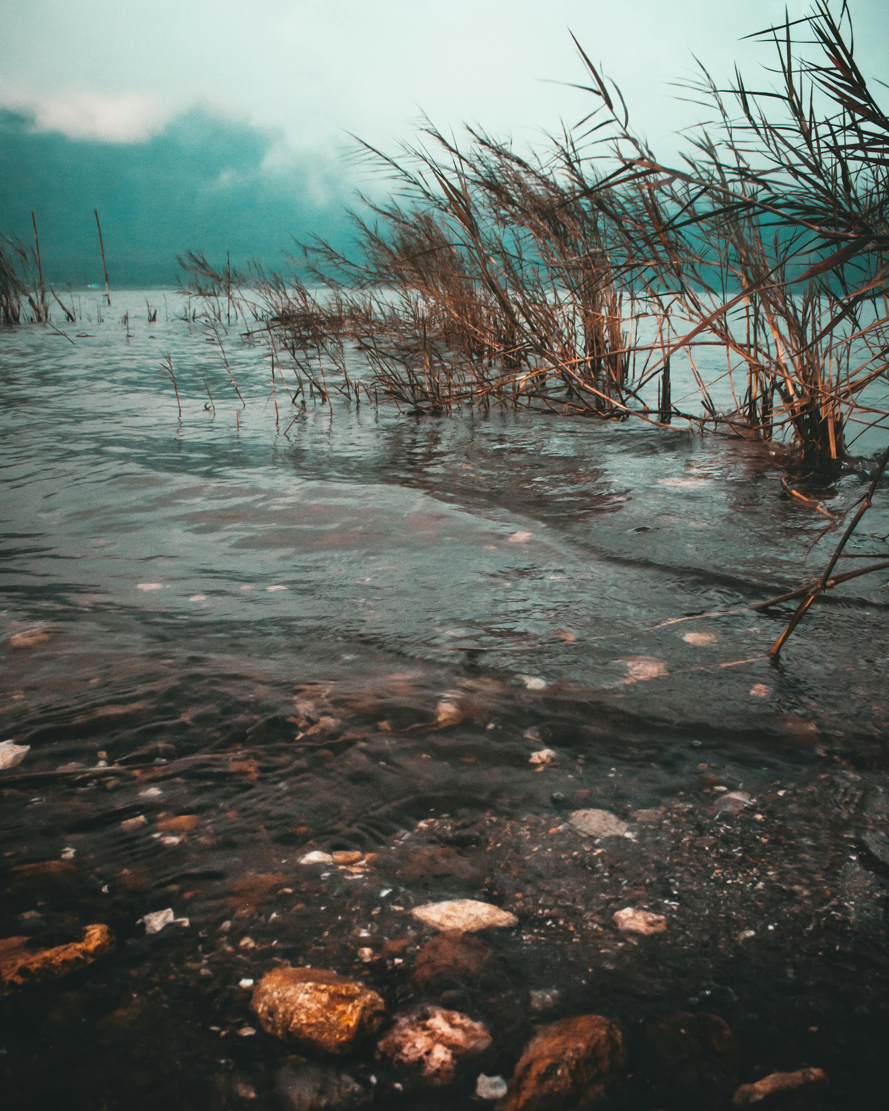 暴雨后河南许昌满目疮痍？不实_实时监测，河南许昌暴雨后的真相，不实报道辟谣与实时监测的重要性