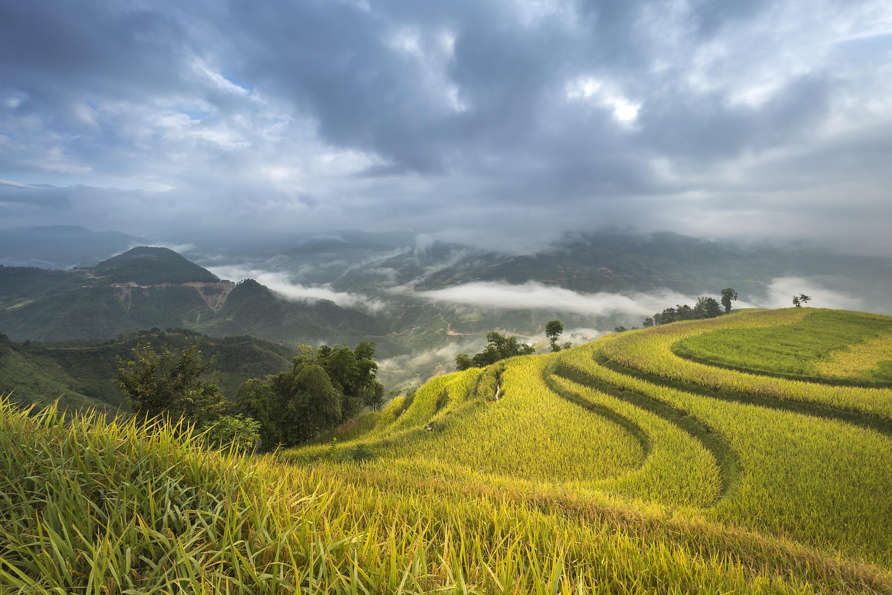 宜宾柏溪圣地最新消息，宜宾柏溪圣地：综合发展迎新机遇，文化生态共铸美好未来