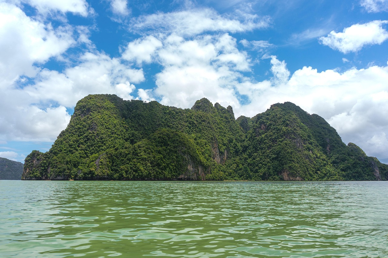 盐城沿海湿地生态保护与旅游开发·灵敏掌握，盐城沿海湿地生态保护与旅游开发，和谐共生之道