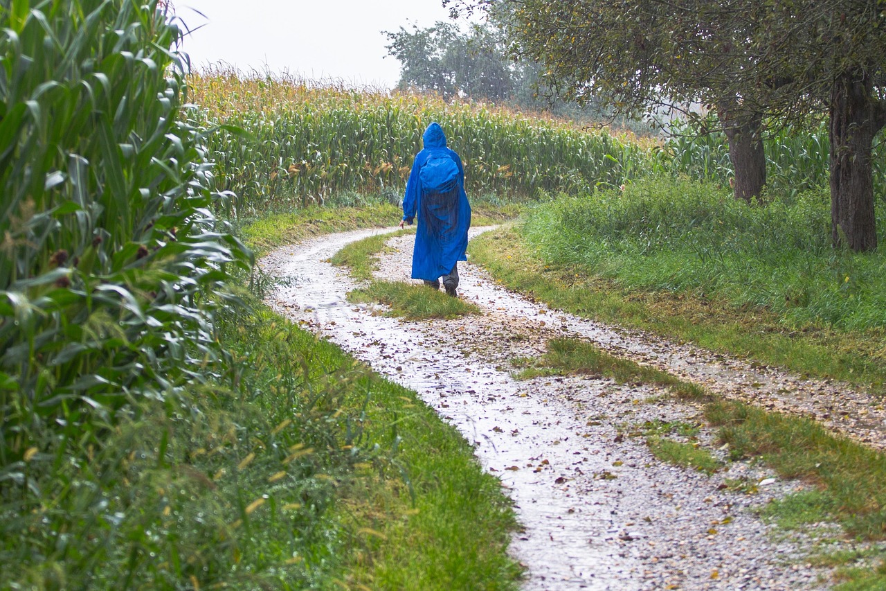 雨天能逛济南吗最新消息，济南雨天旅游攻略：雨中探秘泉城之美