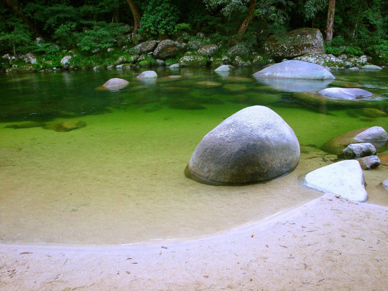 北京花鳅生态研究计划，精准追踪，守护水生生态平衡，北京花鳅生态研究计划，精准守护，平衡水生生态